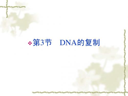 新人教版必修2高中生物第3章第3节DNA的复制课件