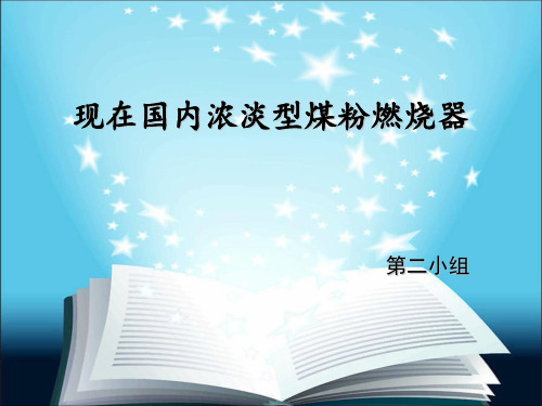 现在国内浓淡型煤粉燃烧器剖析