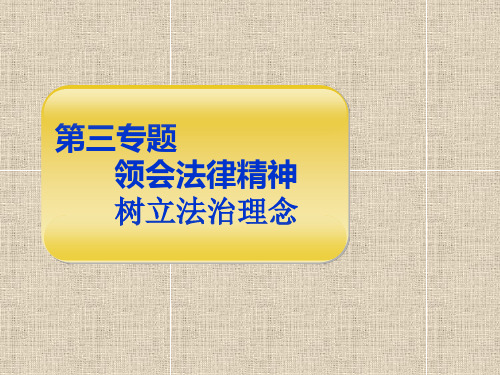 第六讲-树立法治理念--维护法律权威