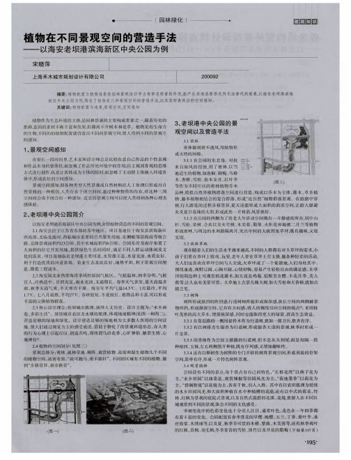 植物在不同景观空间的营造手法——以海安老坝港滨海新区中央公园为例