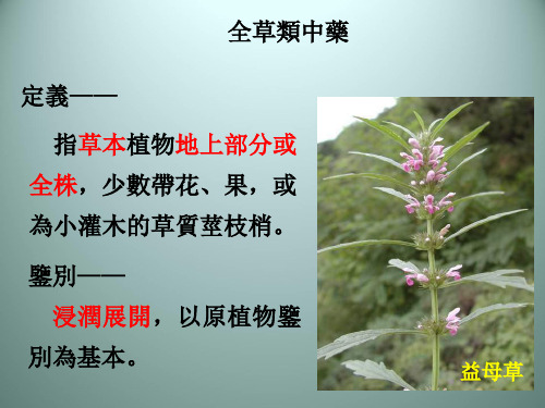 (中药鉴定学)全草类中药