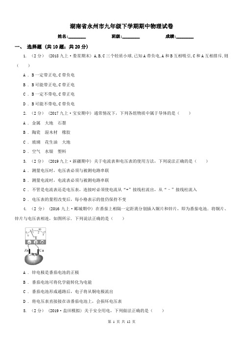 湖南省永州市九年级下学期期中物理试卷