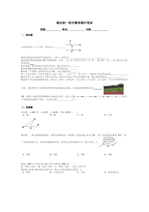 湖北初一初中数学期中考试带答案解析
