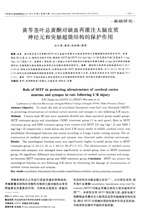 黄芩茎叶总黄酮对缺血再灌注大脑皮质神经元和突触超微结构的保护作用