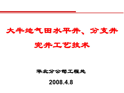 大牛地气田水平井分支井完井工艺技术