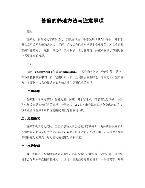 苔癣的养殖方法与注意事项