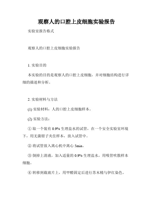 观察人的口腔上皮细胞实验报告