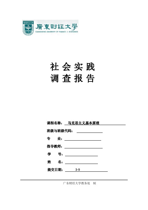 马克思社会实践调查报告