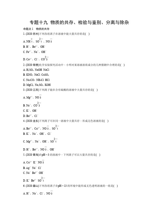 中考化学专题十九 物质的共存、检验与鉴别、分离与除杂