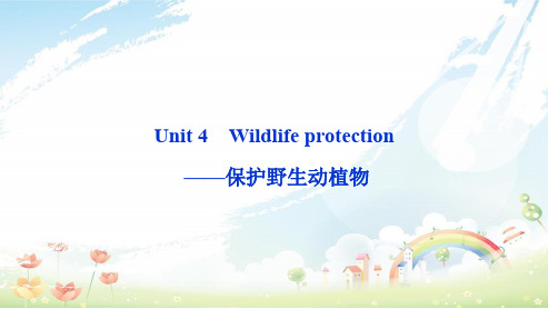 高中人教版高中英语必修二Unit4_Wildlife_protection_——保护野生动植物精品ppt课件