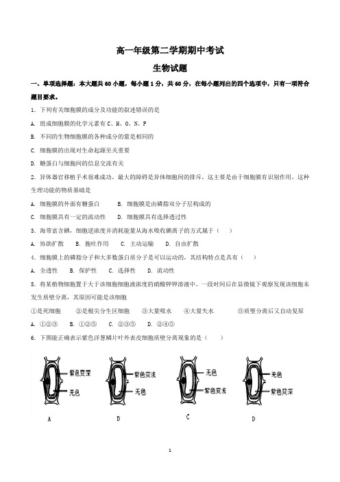 高一下学期生物期中考试试卷含答案(共5套)