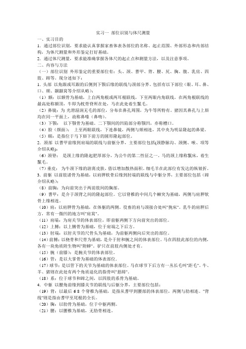 实习一 部位识别与体尺测量