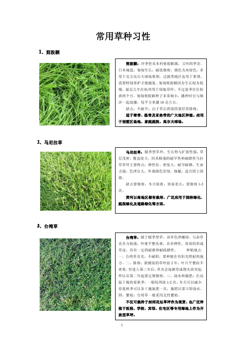 全国项目草坪草种标准(常用草种习性)