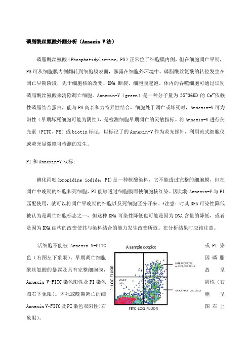 anneinv和pi染色步骤及注意事项