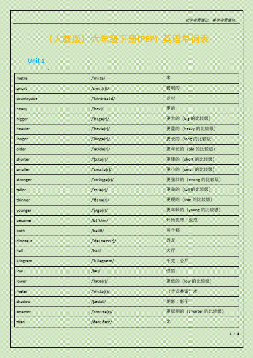 (人教版)六年级下册(PEP) 英语单词表