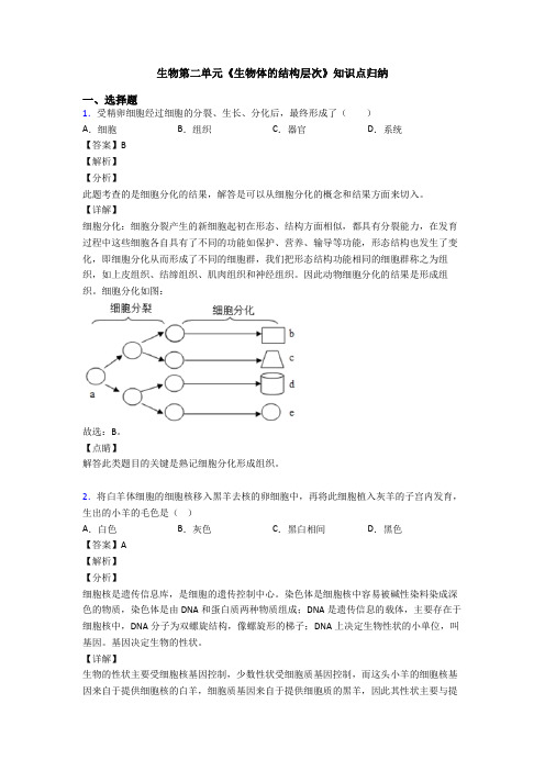 生物第二单元《生物体的结构层次》知识点归纳