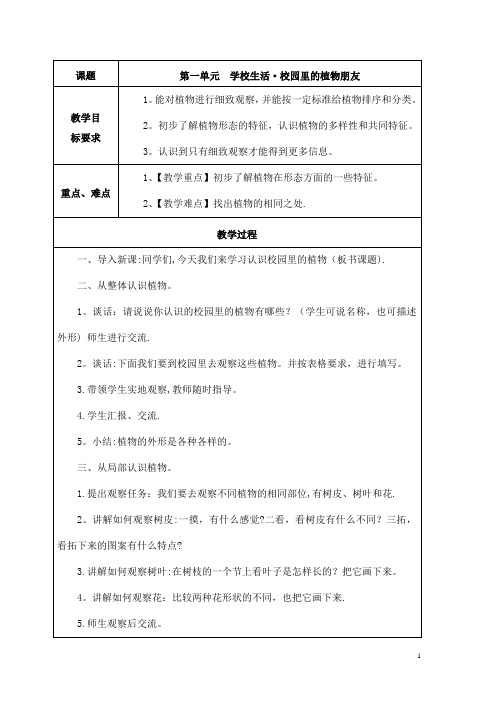 综合实践活动研究性学习四年级下册教案