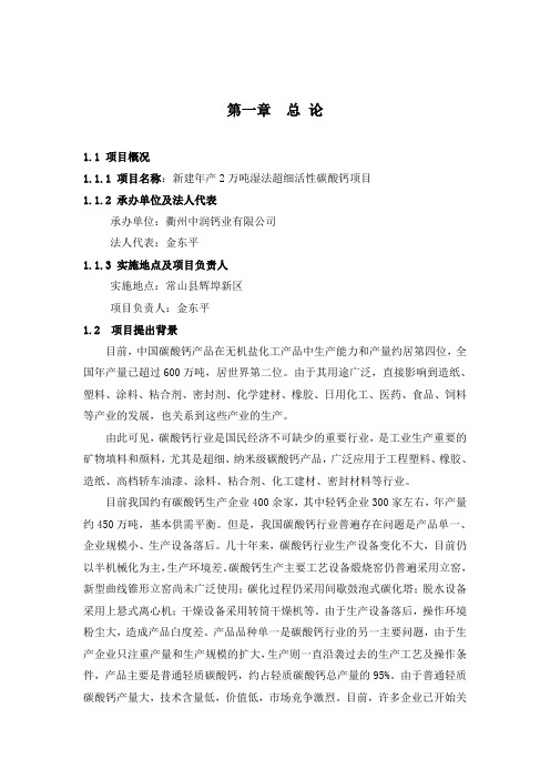 新建年产2万吨湿法超细活性碳酸钙项目可研报告[2]
