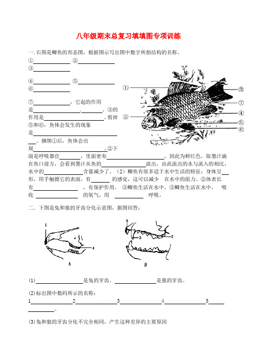 八年级生物期末总复习填图专项训(无答案) 人教新课标版