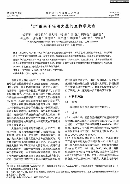 12C 6+重离子辐照大葱的生物学效应