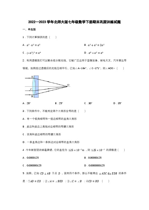 2022--2023学年北师大版七年级数学下册期末巩固训练试题