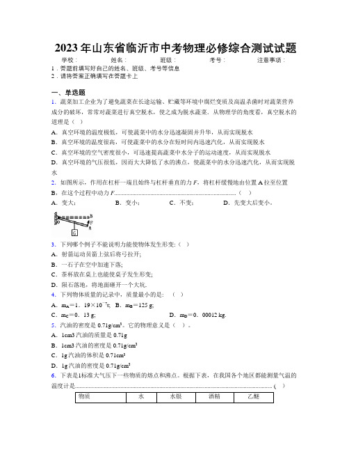 2023年山东省临沂市中考物理必修综合测试试题及解析