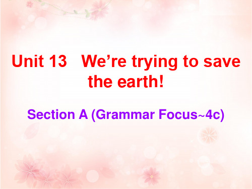 Unit 13 We are trying to save the earth!(Grammar Focus~4c)