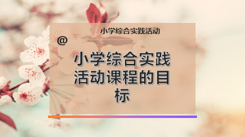 小学综合实践活动课程的目标