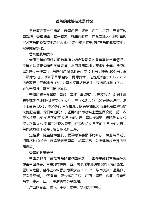 香蕉的栽培技术是什么