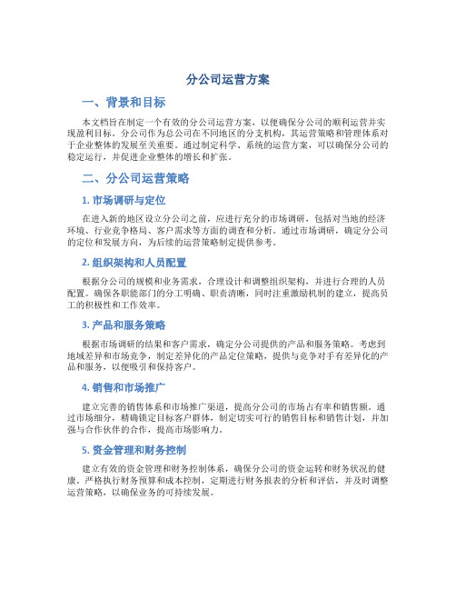 分公司运营方案