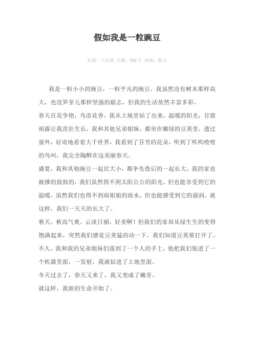 假如我是一粒豌豆350字作文