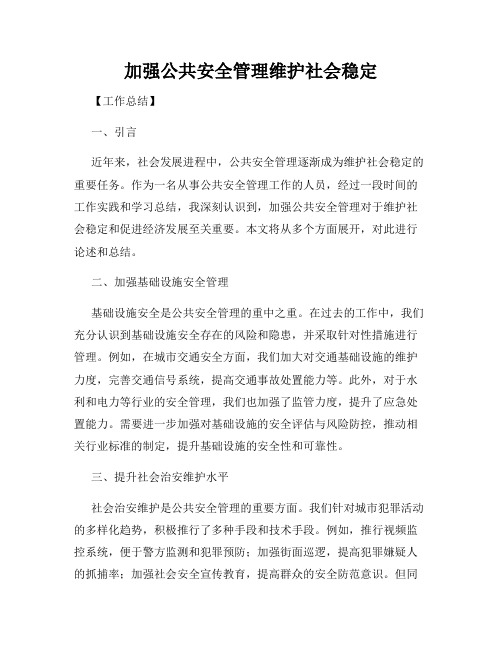 加强公共安全管理维护社会稳定