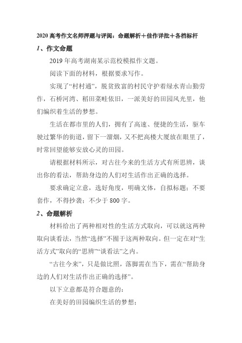 2020高考作文名师押题与评阅：命题解析+佳作详批+各档标杆