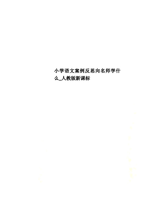 小学语文案例反思向名师学什么_人教版新课标