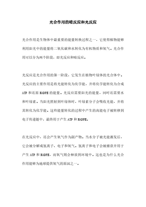 光合作用的暗反应和光反应