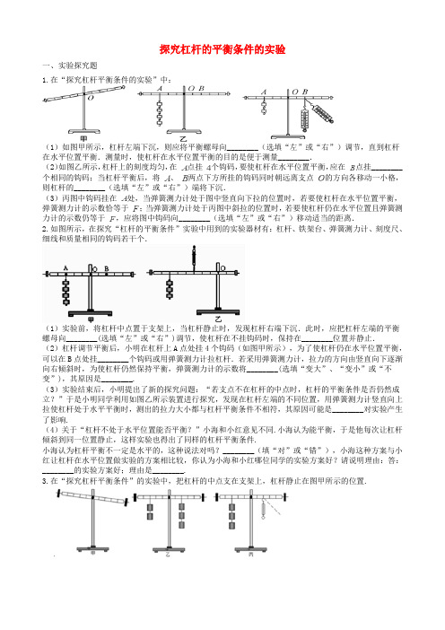 2019中考物理知识点全突破系列专题56杠杆的平衡条件的实验