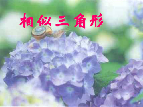 相似三角形性质--北师大版