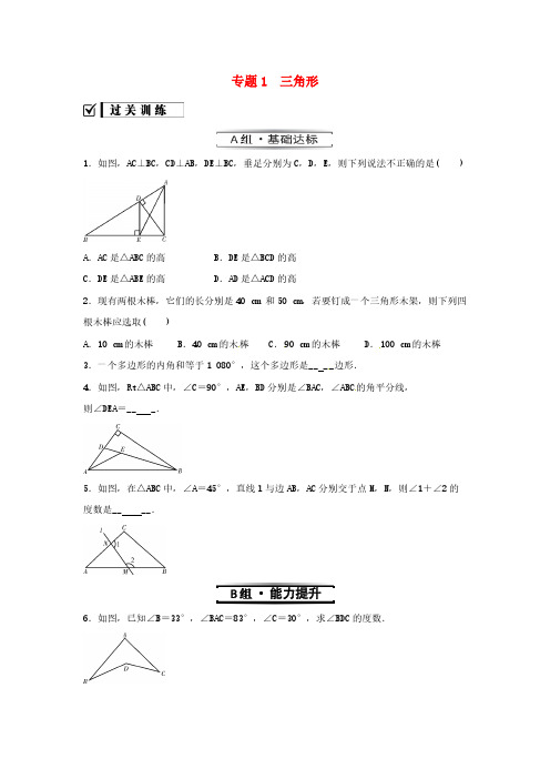 2020年人教版八年级数学上册 分层练习作业本 《期末复习专题 三角形》(含答案)