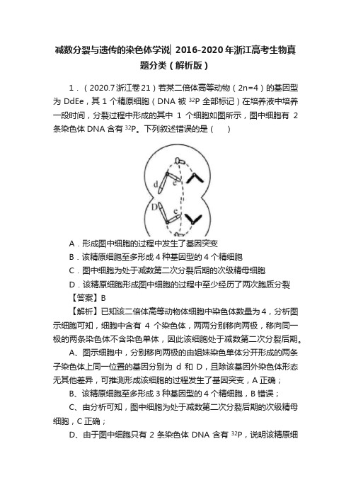 减数分裂与遗传的染色体学说▏2016-2020年浙江高考生物真题分类（解析版）