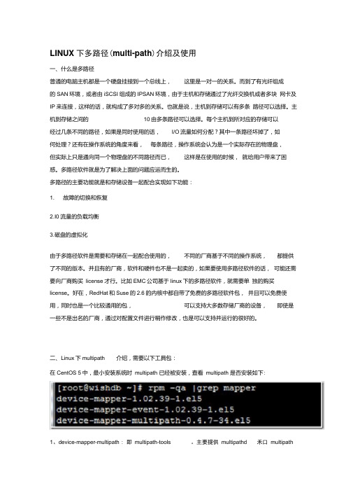 iSCSI多路径介绍及使用.doc