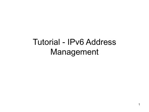 IPv6地址管理 英文