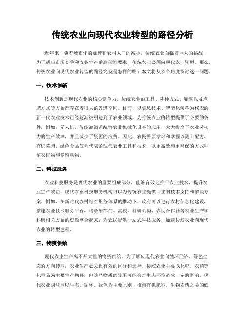 传统农业向现代农业转型的路径分析