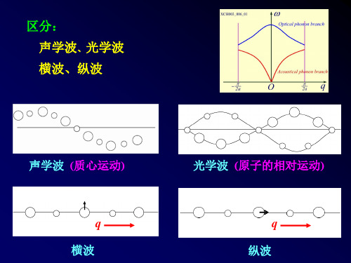 光学波横波纵波声学波