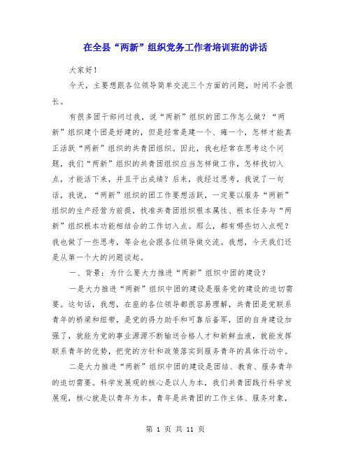 在全县“两新”组织党务工作者培训班的讲话