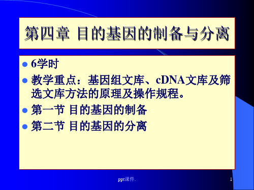 基因工程目的基因的制备ppt课件