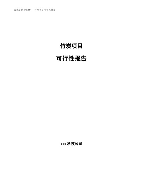 竹炭项目可行性报告模板