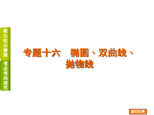 高考数学二轮复习 专题十六 椭圆、双曲线、抛物线课件
