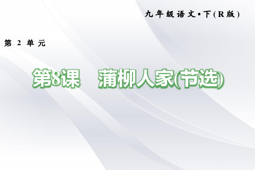 2020年部编版九年级下册语文 8.蒲柳人家(节选) 习题课件