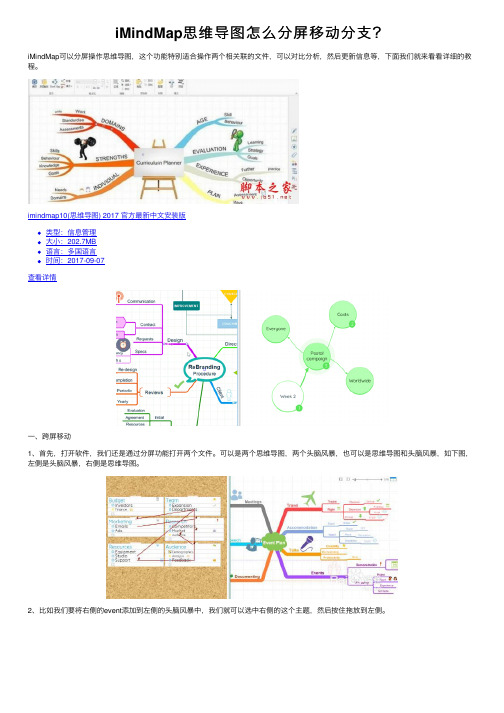 iMindMap思维导图怎么分屏移动分支？