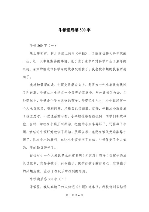 牛顿读后感300字